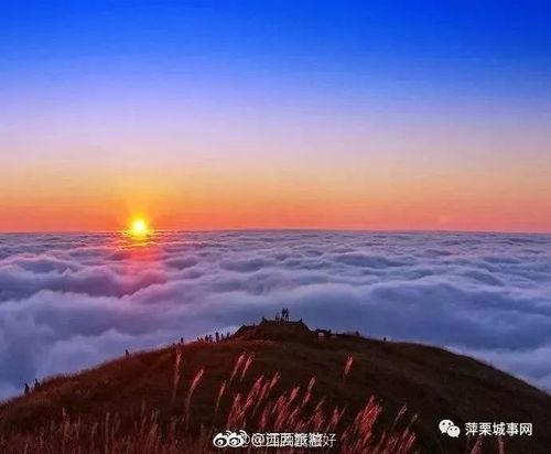 武功山景点爆料视频最新,云端仙境，徒步天堂全景大曝光